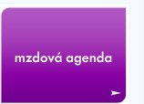 Mzdová agenda